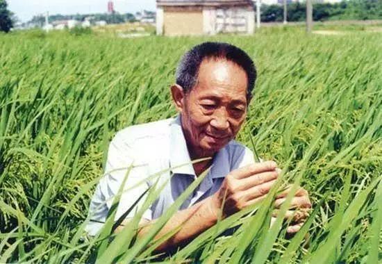 一日三餐，米香彌漫，飽食者當(dāng)憶袁公！