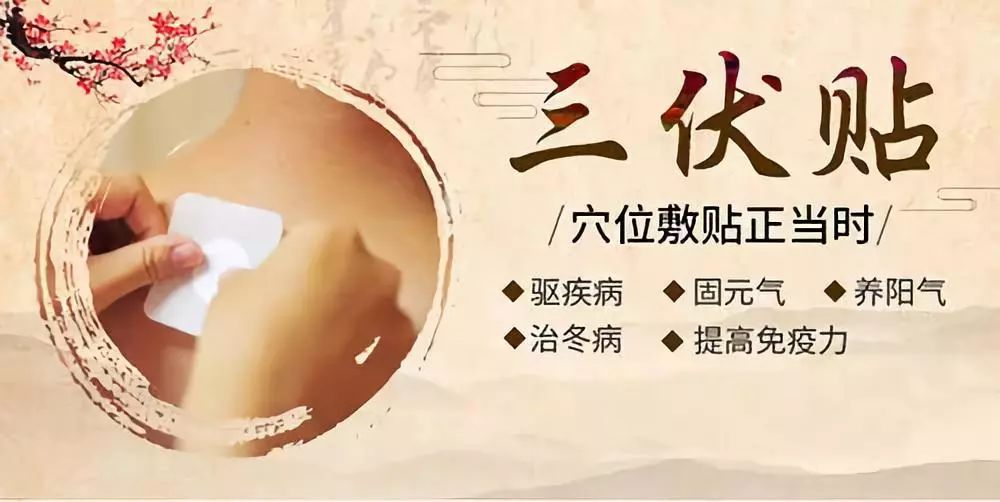 關(guān)于三伏貼，你了解多少呢？